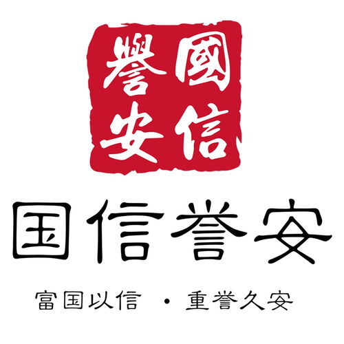國(guó)信譽(yù)安投資控股 深圳 