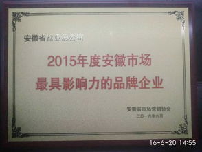 安徽省鹽業投資控股集團 投資控股的戰略意義與未來展望